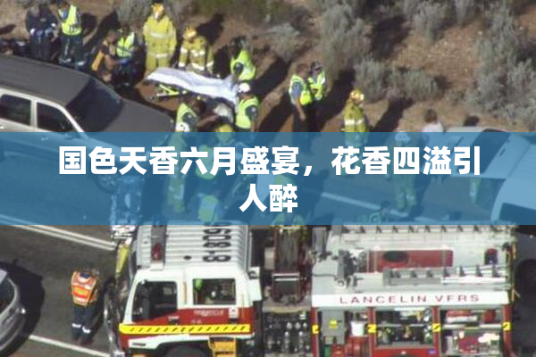 国色天香六月盛宴，花香四溢引人醉