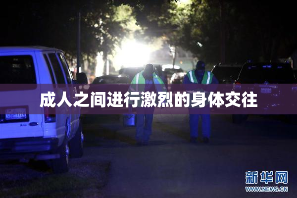 成人之间进行激烈的身体交往
