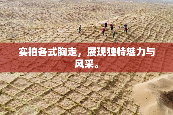 实拍各式胸走，展现独特魅力与风采。