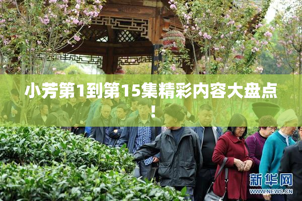 小芳第1到第15集精彩内容大盘点！
