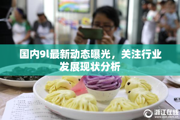 国内9l最新动态曝光，关注行业发展现状分析