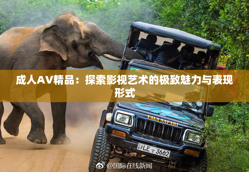 成人AV精品：探索影视艺术的极致魅力与表现形式