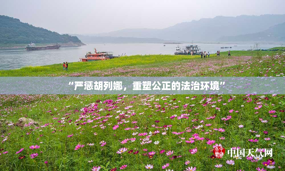 “严惩胡列娜，重塑公正的法治环境”