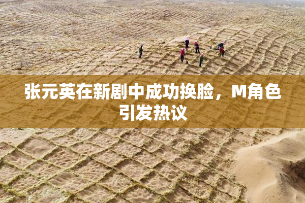 张元英在新剧中成功换脸，M角色引发热议