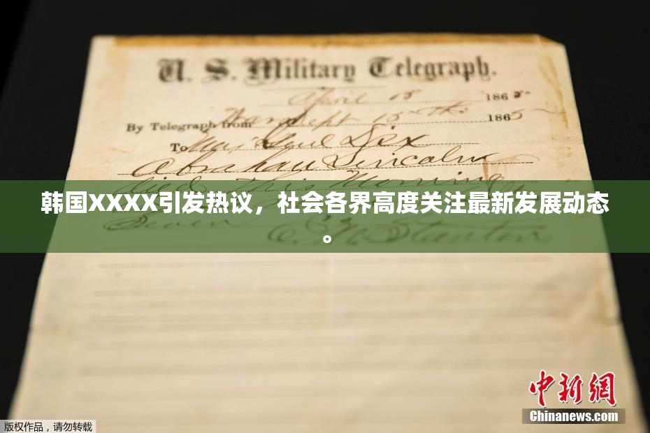 韩国XXXX引发热议，社会各界高度关注最新发展动态。