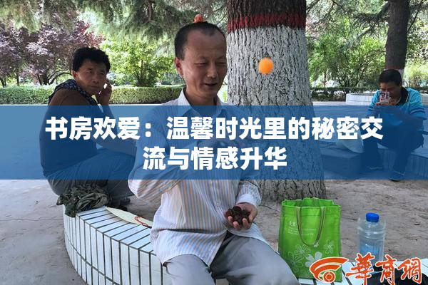 书房欢爱：温馨时光里的秘密交流与情感升华