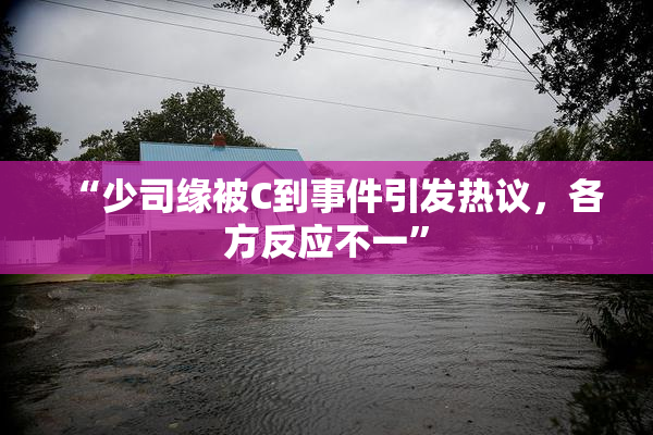 “少司缘被C到事件引发热议，各方反应不一”