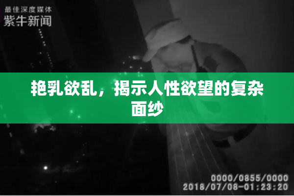 艳乳欲乱，揭示人性欲望的复杂面纱