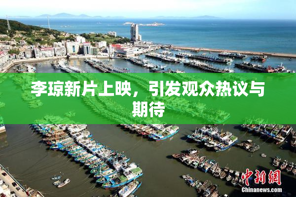 李琼新片上映，引发观众热议与期待