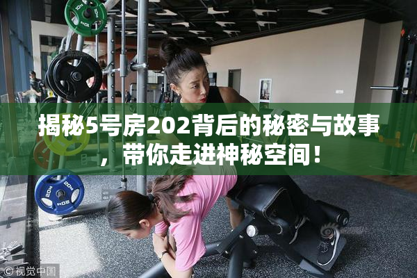 揭秘5号房202背后的秘密与故事，带你走进神秘空间！