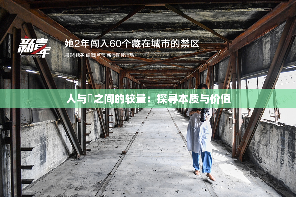 人与嘼之间的较量：探寻本质与价值