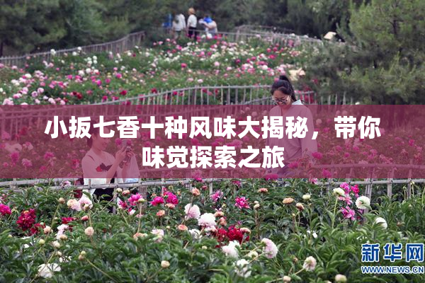 小扳七香十种风味大揭秘，带你味觉探索之旅
