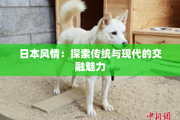 日本风情：探索传统与现代的交融魅力