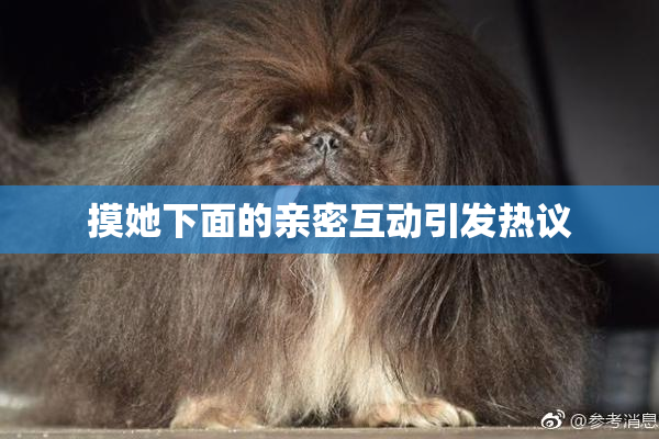 摸她下面的亲密互动引发热议