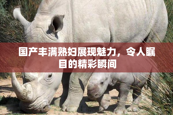 国产丰满熟妇展现魅力，令人瞩目的精彩瞬间