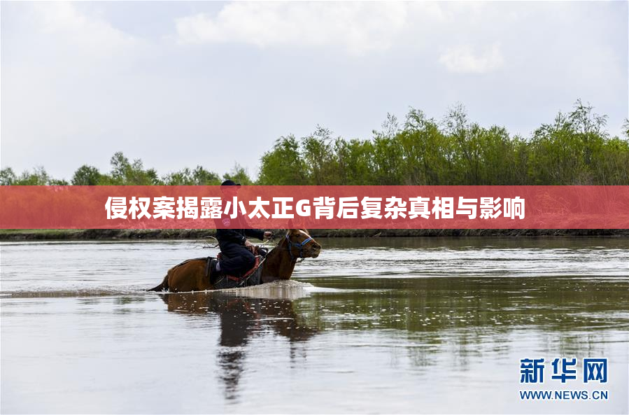 侵权案揭露小太正G背后复杂真相与影响