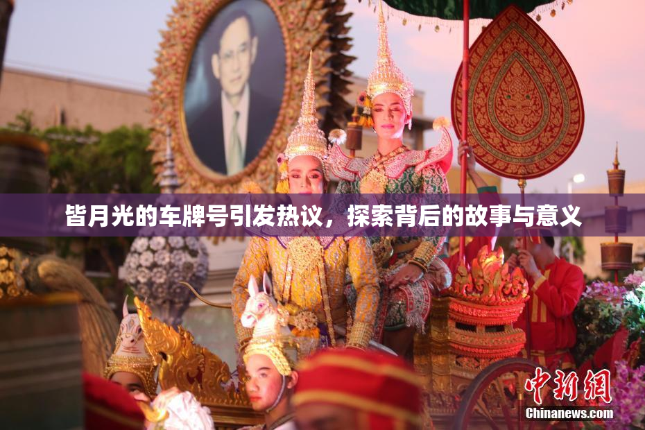 皆月光的车牌号引发热议，探索背后的故事与意义
