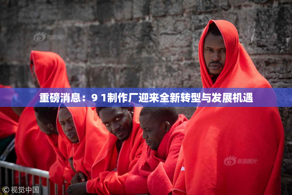 重磅消息：9 1制作厂迎来全新转型与发展机遇