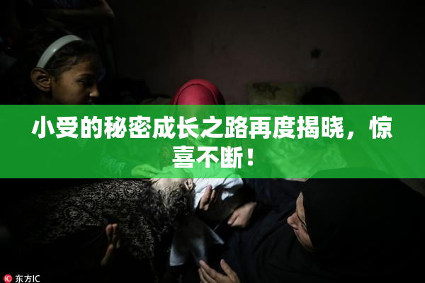 小受的秘密成长之路再度揭晓，惊喜不断！