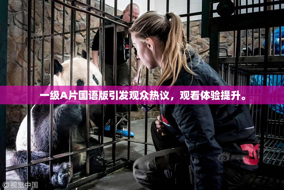 一级A片国语版引发观众热议，观看体验提升。