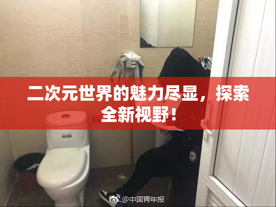 二次元世界的魅力尽显，探索全新视野！