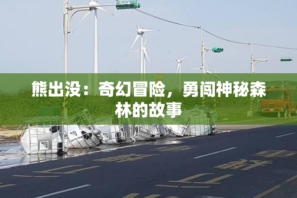 熊出没：奇幻冒险，勇闯神秘森林的故事