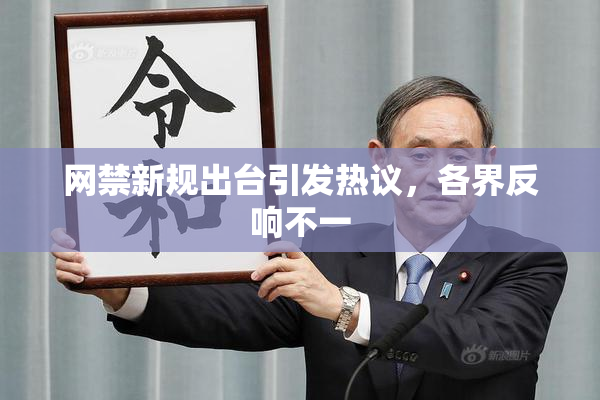 网禁新规出台引发热议，各界反响不一