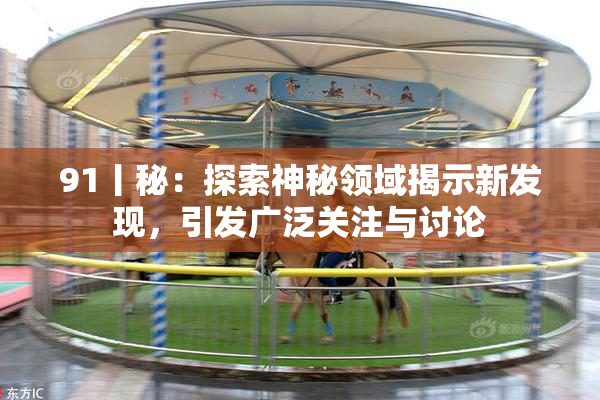 91丨秘：探索神秘领域揭示新发现，引发广泛关注与讨论