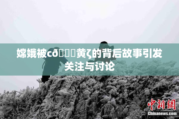 嫦娥被c🔞黄ζ的背后故事引发关注与讨论