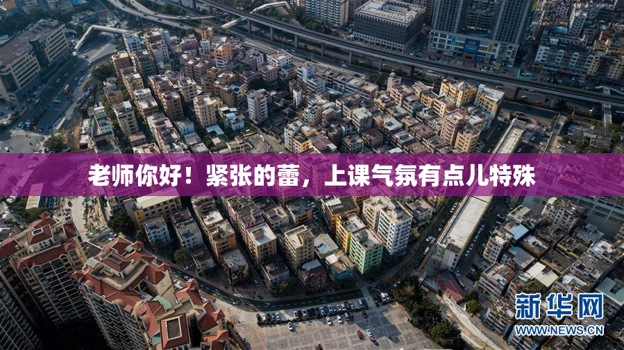 老师你好！紧张的蕾，上课气氛有点儿特殊