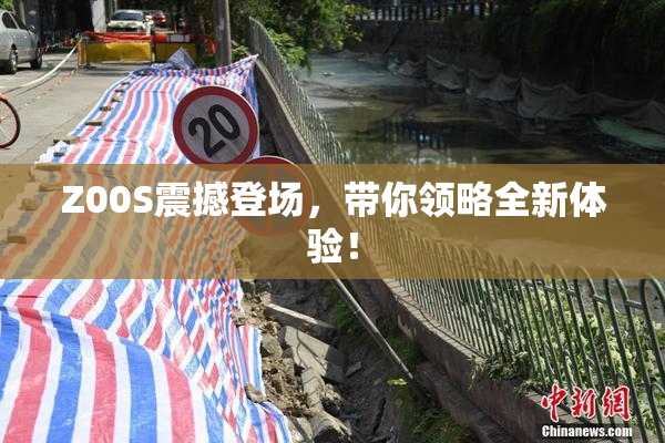 Z00S震撼登场，带你领略全新体验！