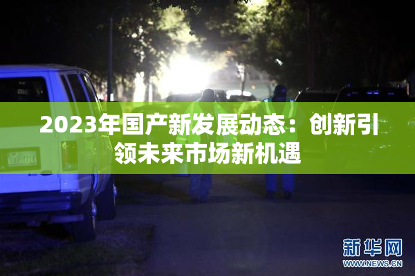 2023年国产新发展动态：创新引领未来市场新机遇