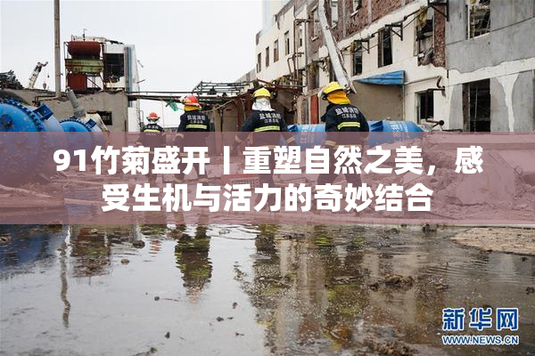 91竹菊盛开丨重塑自然之美，感受生机与活力的奇妙结合