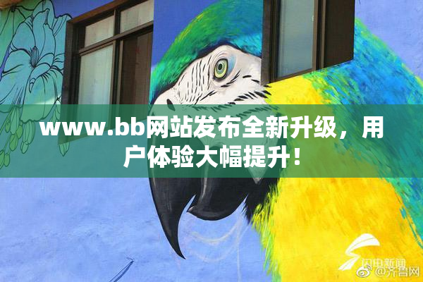 www.bb网站发布全新升级，用户体验大幅提升！