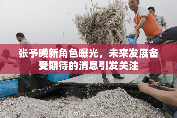 张予曦新角色曝光，未来发展备受期待的消息引发关注