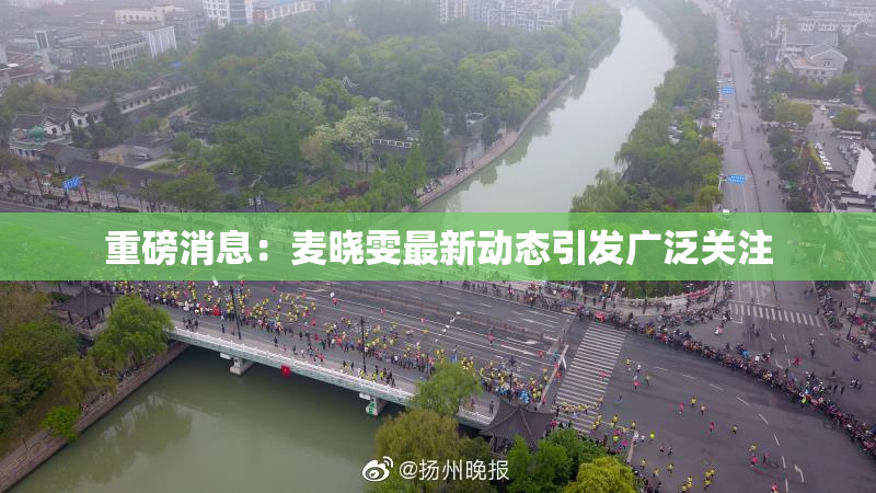 重磅消息：麦晓雯最新动态引发广泛关注