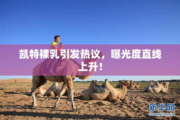 凯特裸乳引发热议，曝光度直线上升！