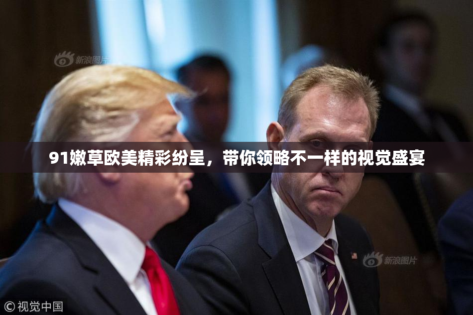 91嫩草欧美精彩纷呈，带你领略不一样的视觉盛宴