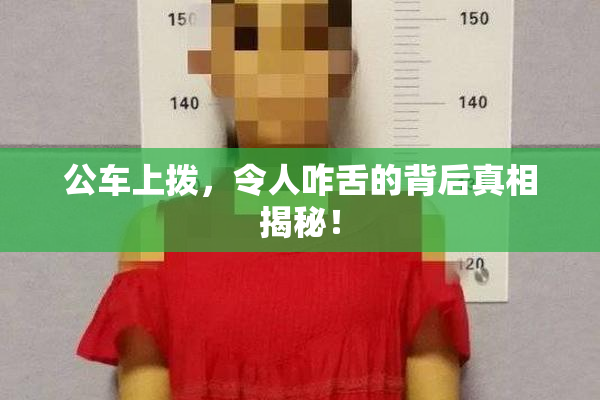 公车上拨，令人咋舌的背后真相揭秘！
