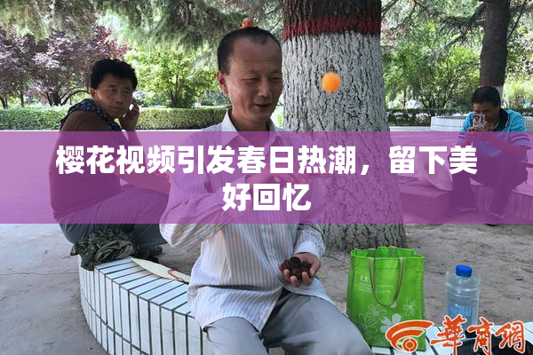 樱花视频引发春日热潮，留下美好回忆