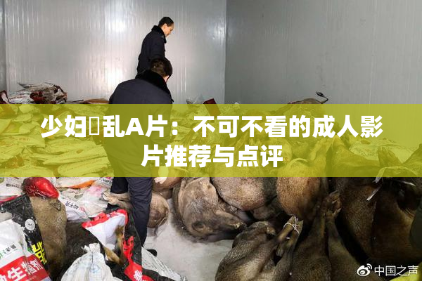 少妇婬乱A片：不可不看的成人影片推荐与点评