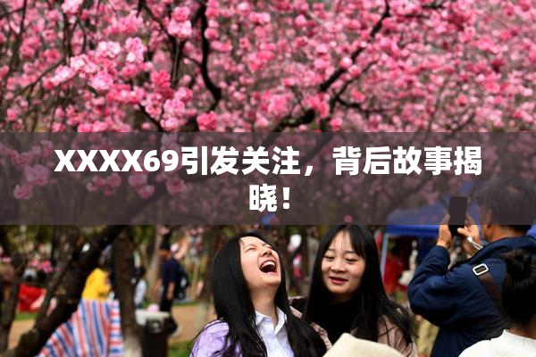 XXXX69引发关注，背后故事揭晓！