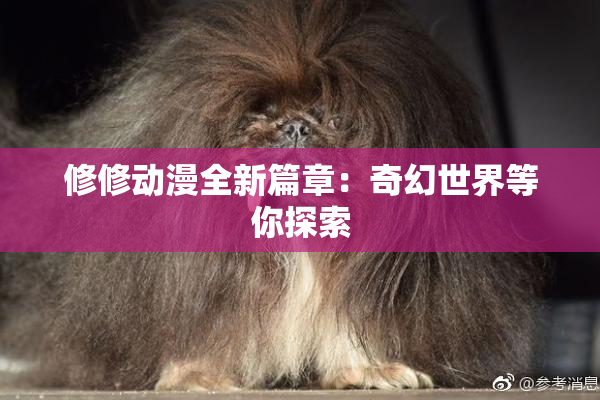 修修动漫全新篇章：奇幻世界等你探索