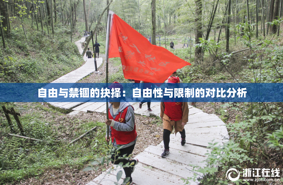 自由与禁锢的抉择：自由性与限制的对比分析