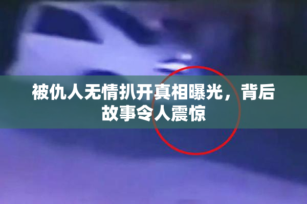被仇人无情扒开真相曝光，背后故事令人震惊