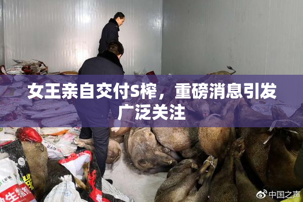 女王亲自交付S榨，重磅消息引发广泛关注