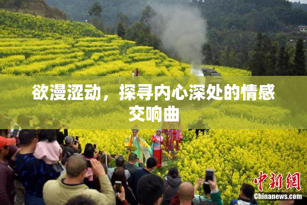 欲漫涩动，探寻内心深处的情感交响曲
