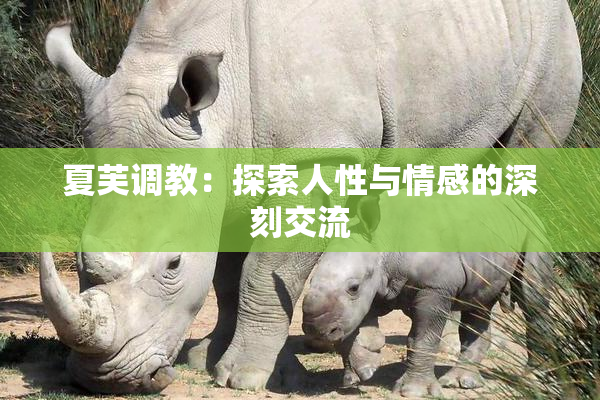夏芙调教：探索人性与情感的深刻交流