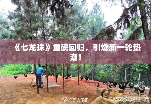 《七龙珠》重磅回归，引燃新一轮热潮！