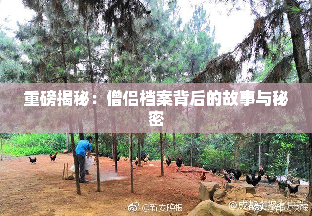 重磅揭秘：僧侣档案背后的故事与秘密